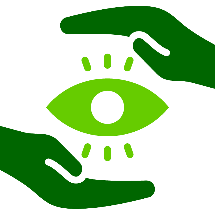 Vision