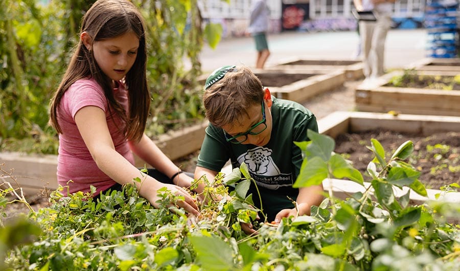 Environmental garden Jewish Environmental Learning